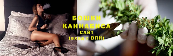 прущие грибы Аркадак