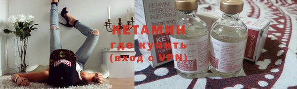 прущие грибы Аркадак