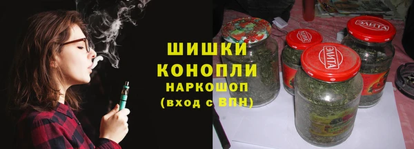 прущие грибы Аркадак