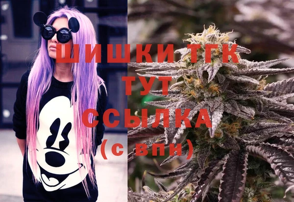 прущие грибы Аркадак