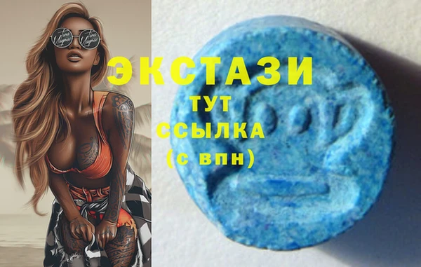 прущие грибы Аркадак