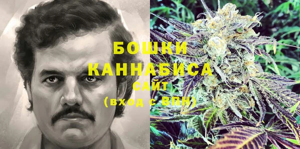 прущие грибы Аркадак